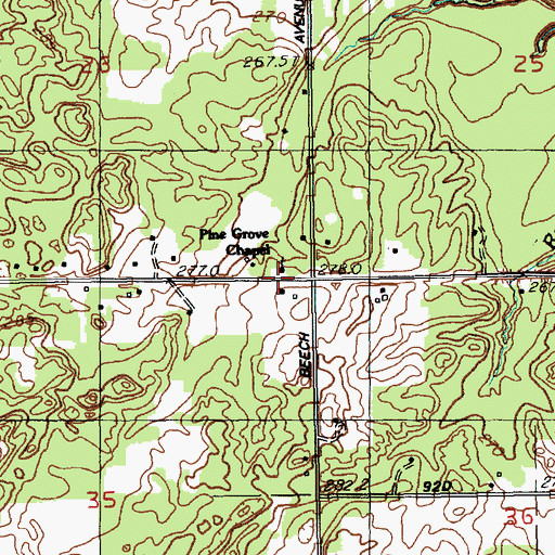 Topographic Map of Pine Grove Chapel, MI