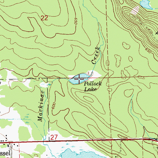 Topographic Map of Pollock Lake, MI