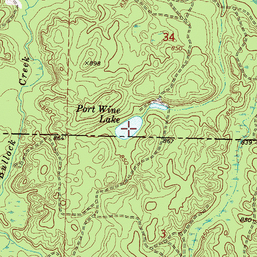 Topographic Map of Port Wine Lake, MI