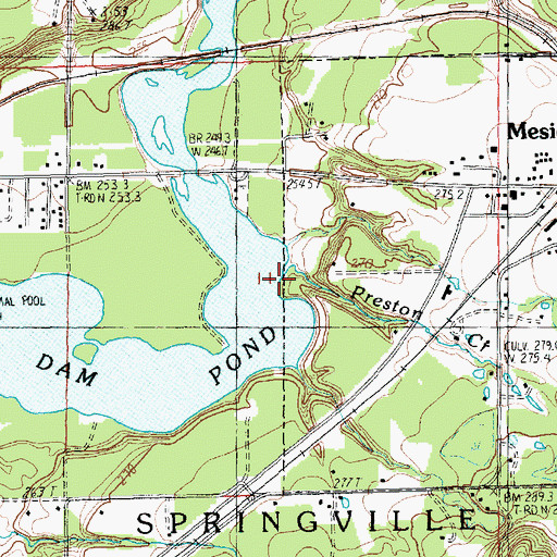 Topographic Map of Preston Creek, MI