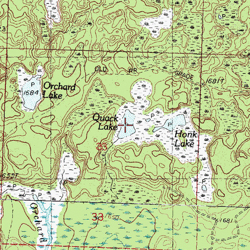 Topographic Map of Quack Lake, MI