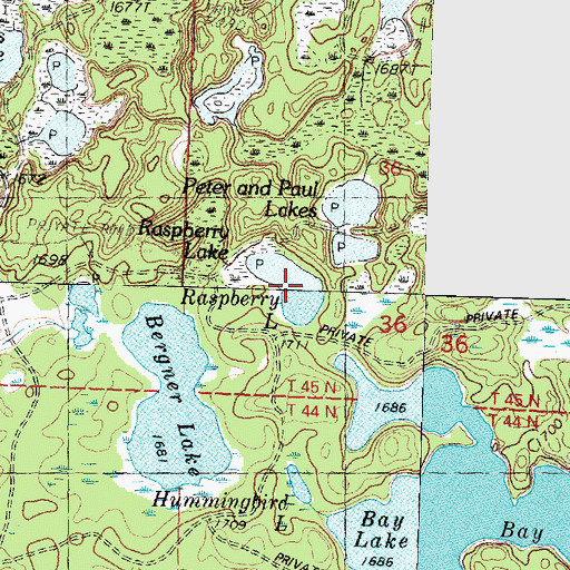 Topographic Map of Raspberry Lake, MI