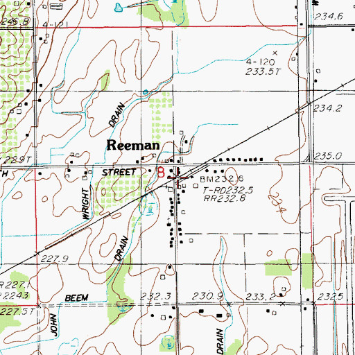 Topographic Map of Reeman, MI