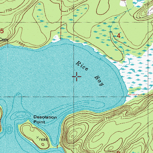 Topographic Map of Rice Bay, MI