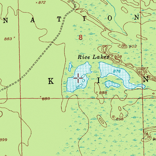 Topographic Map of Rice Lakes, MI