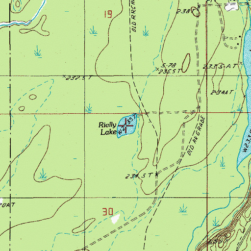 Topographic Map of Rielly Lake, MI