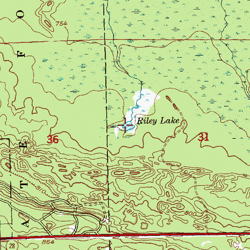 Topographic Map of Riley Lake, MI