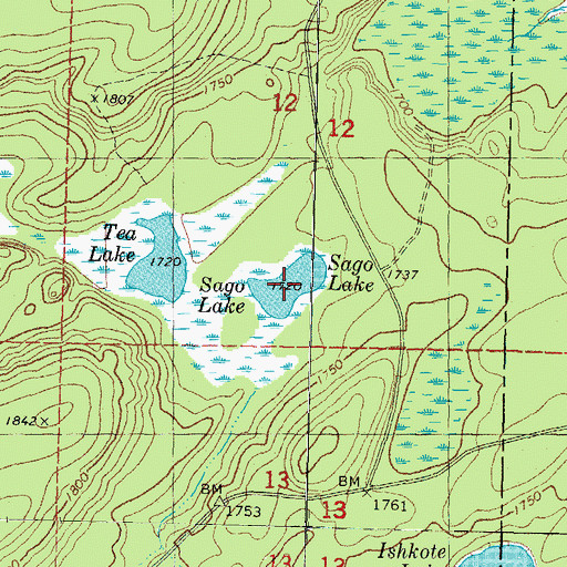 Topographic Map of Sago Lake, MI