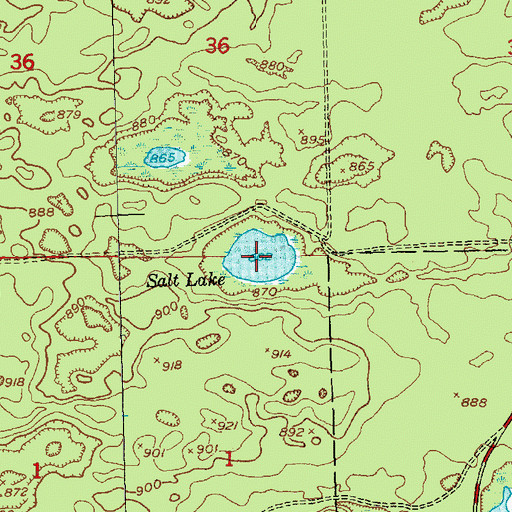 Topographic Map of Salt Lake, MI