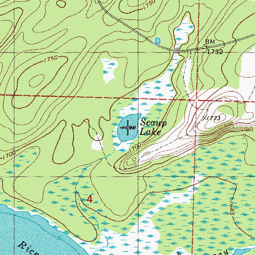 Topographic Map of Scaup Lake, MI