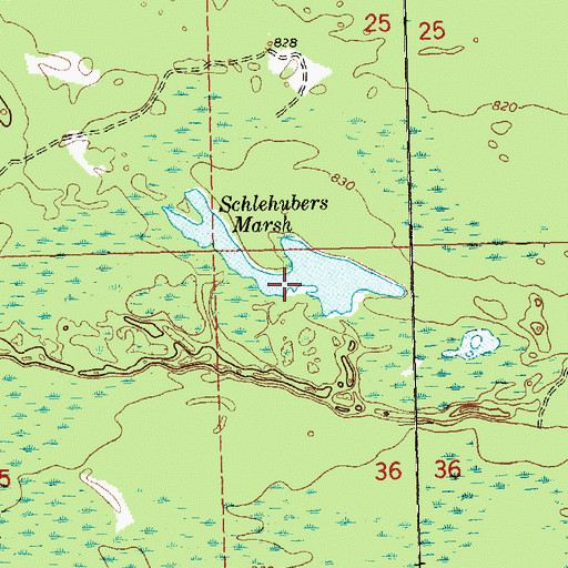 Topographic Map of Schlehubers Marsh, MI
