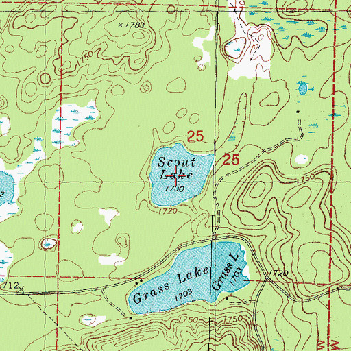 Topographic Map of Scout Lake, MI