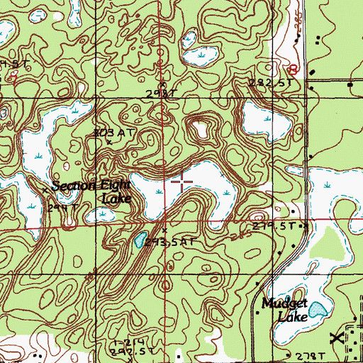 Topographic Map of Section Five Lake, MI