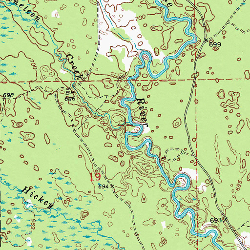 Topographic Map of Section Nineteen Creek, MI