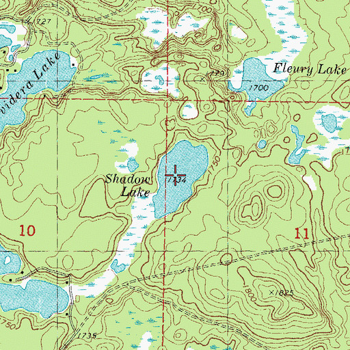 Topographic Map of Shadow Lake, MI