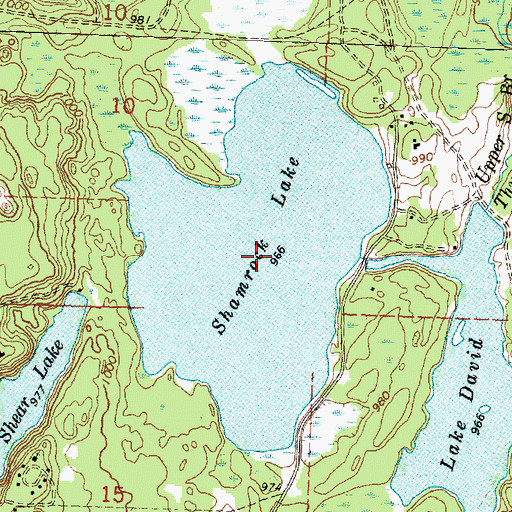 Topographic Map of Shamrock Lake, MI