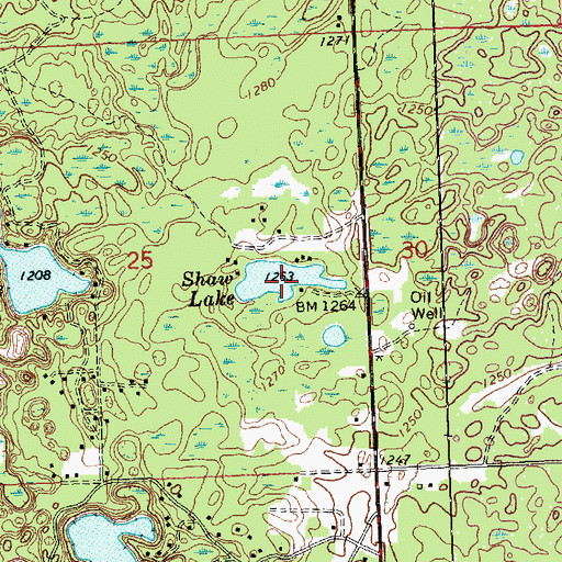 Topographic Map of Shaw Lake, MI