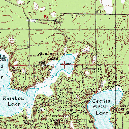 Topographic Map of Shonenya Lake, MI