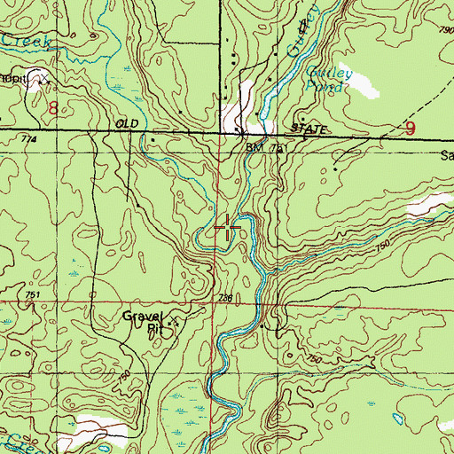 Topographic Map of Smith Creek, MI