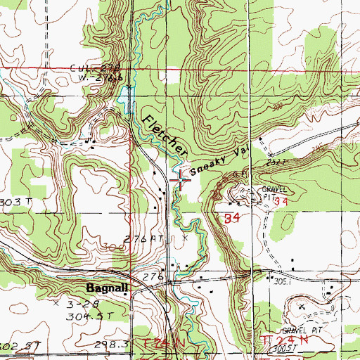 Topographic Map of Sneaky Valley, MI