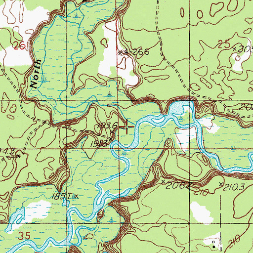 Topographic Map of South Branch White River, MI