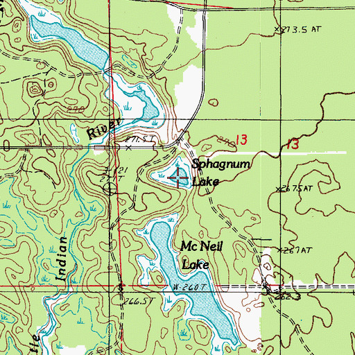 Topographic Map of Sphagnum Lake, MI