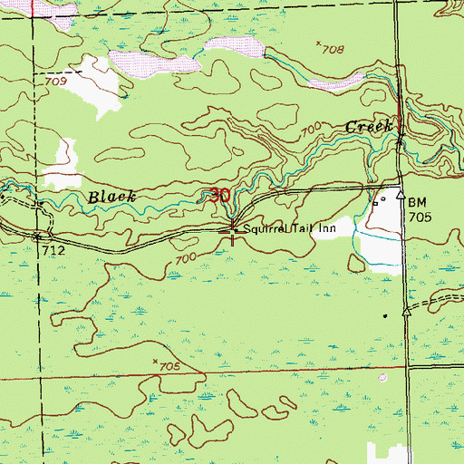 Topographic Map of Squirrel Tail Inn, MI