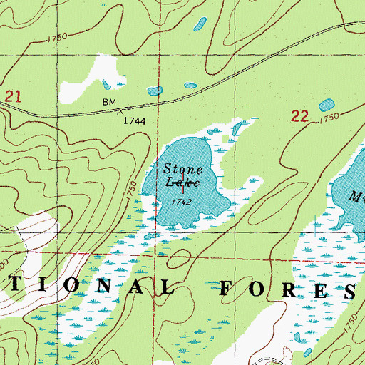 Topographic Map of Stone Lake, MI