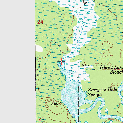 Topographic Map of Sturgeon Hole Creek, MI