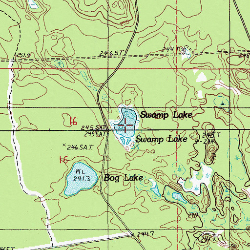 Topographic Map of Swamp Lake, MI