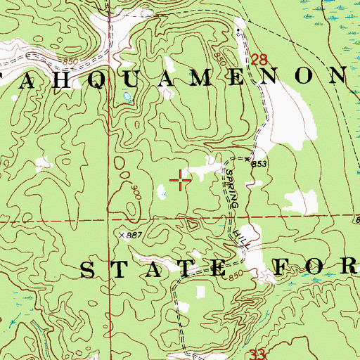 Topographic Map of Tahquamenon River State Forest, MI