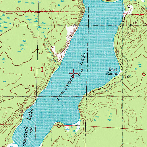 Topographic Map of Tamarack Lake, MI