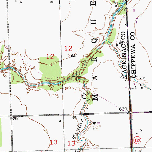 Topographic Map of Taylor Creek, MI