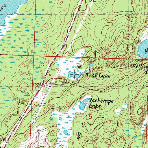 Topographic Map of Teal Lake, MI