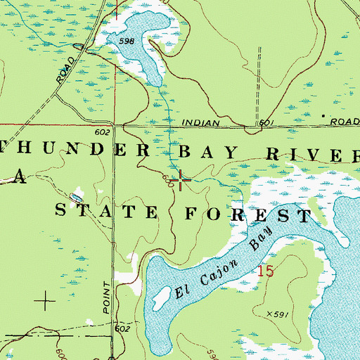 Topographic Map of Thunder Bay River State Forest, MI
