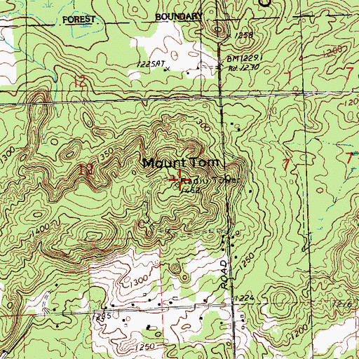 Topographic Map of Mount Tom, MI