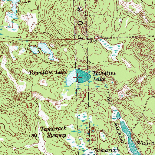 Topographic Map of Townline Lake, MI