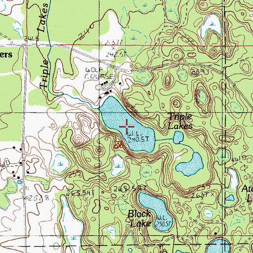 Topographic Map of Triple Lakes, MI