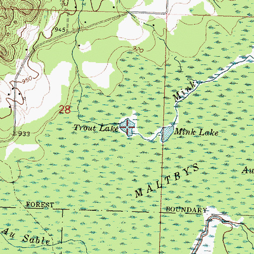 Topographic Map of Trout Lake, MI