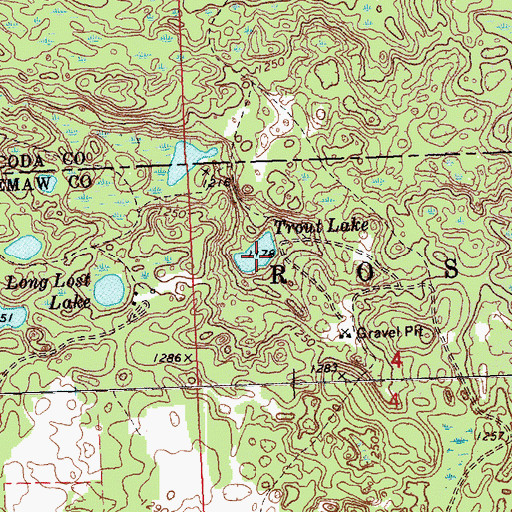 Topographic Map of Trout Lake, MI
