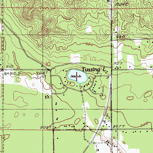 Topographic Map of Tussing Lake, MI
