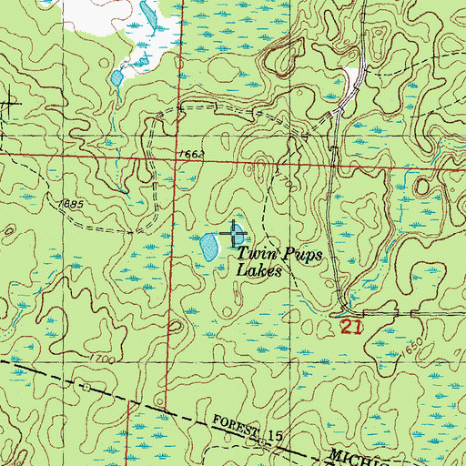 Topographic Map of Twin Pups Lakes, MI