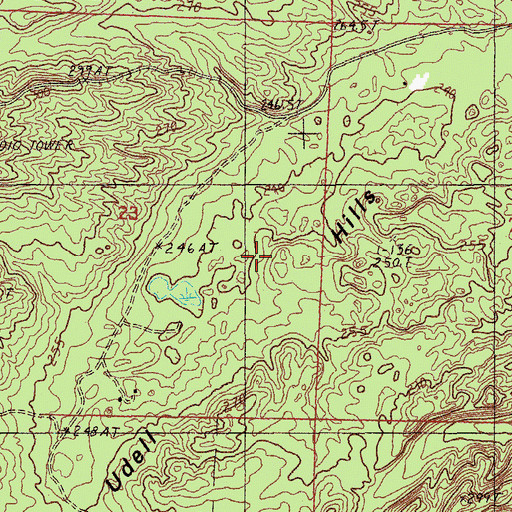Topographic Map of Udell Hills, MI