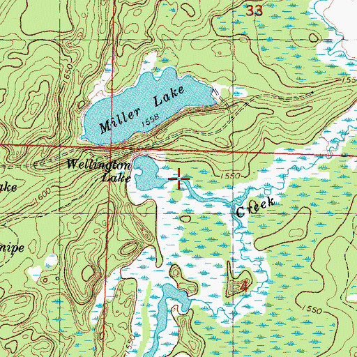 Topographic Map of Wellington Lake, MI