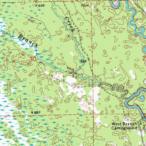 Topographic Map of West Branch Hickey Creek, MI