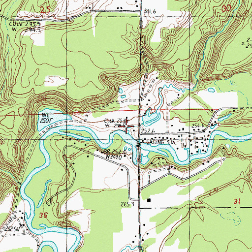 Topographic Map of Wheeler Creek, MI