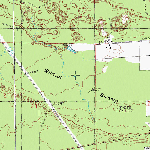 Topographic Map of Wildcat Swamp, MI