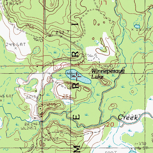 Topographic Map of Winnepesaug Lake, MI