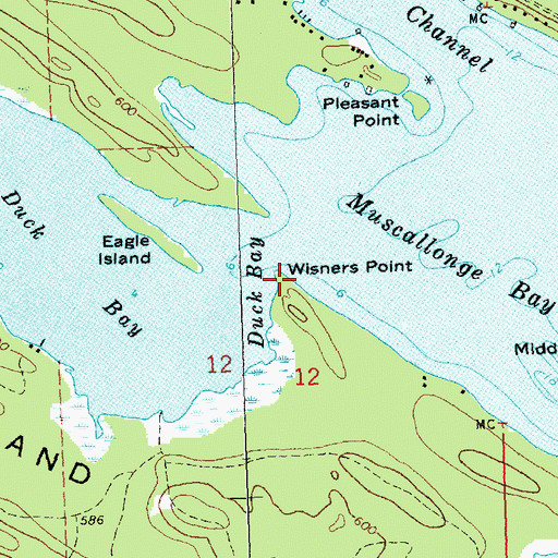 Topographic Map of Wisner Point, MI