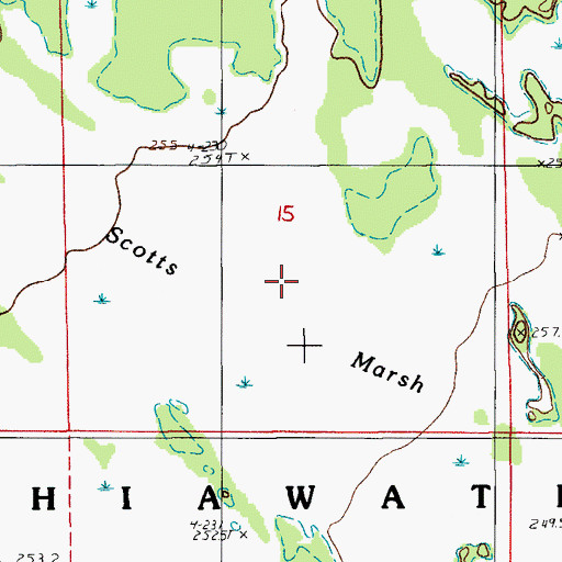 Topographic Map of Scotts Marsh, MI